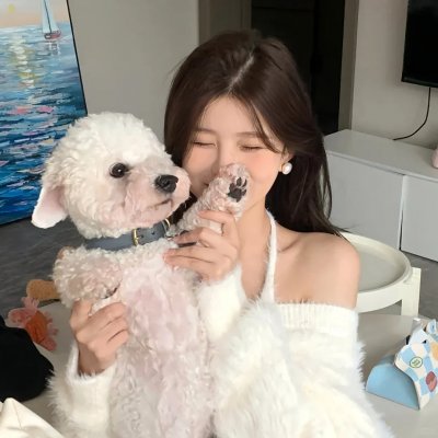 狮子狗行动
