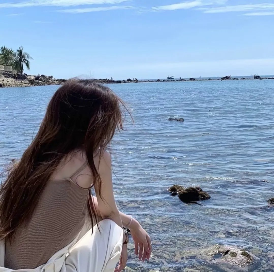 与鲨鱼游弋